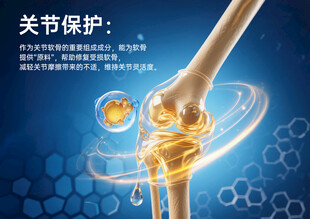 关节保护呵护关节骨骼补钙海报