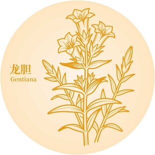 龙胆碱草植物线描图案