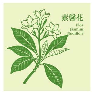 素馨花插画