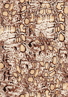 复古花纹皮革纹理图案豹纹 动物