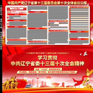 辽宁省十三届十次全会精神展板