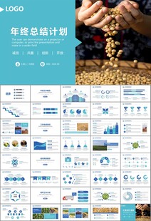 大豆种植产业工作总结年终汇报