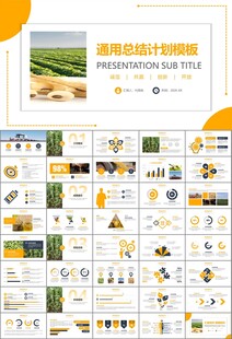 大豆种植产业工作总结年终汇报
