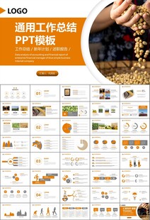 大豆种植产业工作总结年终汇报