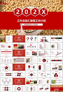 大豆种植产业工作总结年终汇报