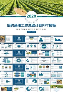 大豆种植产业工作总结年终汇报