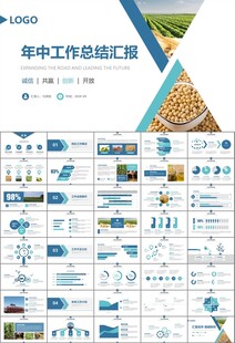 大豆种植产业工作总结年终汇报