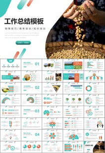 大豆种植产业工作总结年终汇报