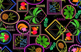 多彩热带风图案装饰元素