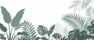 雾气磨砂膜效果绿植贴图