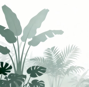 雾气磨砂膜效果绿植贴图