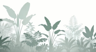 雾气磨砂膜效果绿植贴图