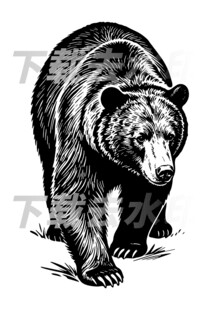 矢量手绘线描黑熊图