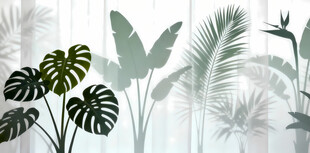 雾气磨砂膜效果绿植贴图