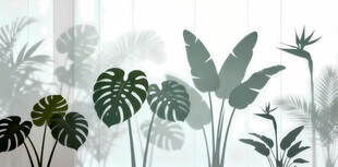 雾气磨砂膜效果绿植贴图