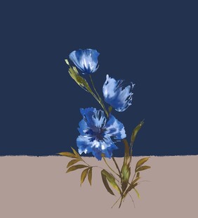 蓝色花卉插画 清新雅致