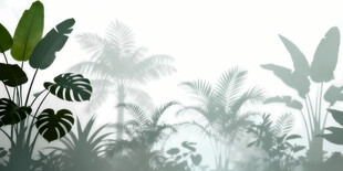 雾气磨砂膜效果绿植贴图