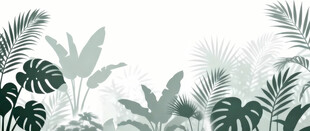 雾气磨砂膜效果绿植贴图