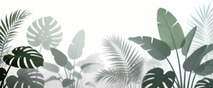 雾气磨砂膜效果绿植贴图