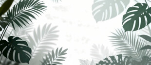 雾气磨砂膜效果绿植贴图