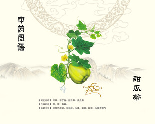 甜瓜蒂中药甜瓜蒂