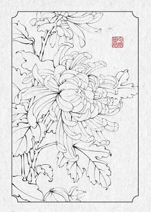 工笔菊花花卉线稿图