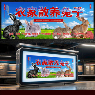 兔子养殖展板