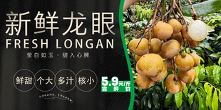龙眼 