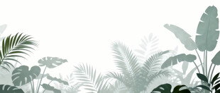 雾气磨砂膜效果绿植贴图