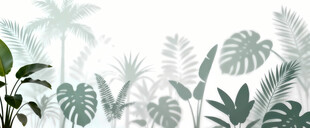 雾气磨砂膜效果绿植贴图