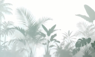 雾气磨砂膜效果绿植贴图