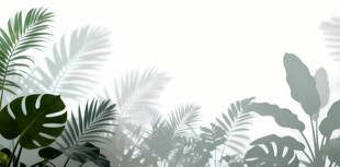 雾气磨砂膜效果绿植贴图