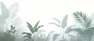 雾气磨砂膜效果绿植贴图