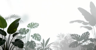 雾气磨砂膜效果绿植贴图