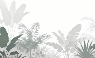 雾气磨砂膜效果绿植贴图