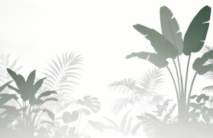 雾气磨砂膜效果绿植贴图