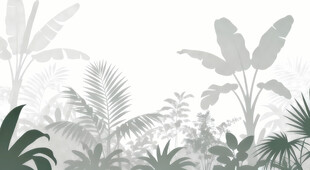 雾气磨砂膜效果绿植贴图