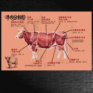 牛肉分割图