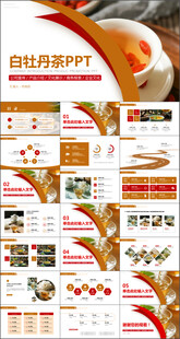 白牡丹茶PPT模板
