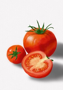 手绘水彩西红柿