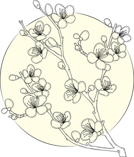 手绘梅花枝图案 矢量图