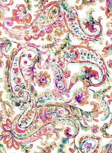 多彩佩斯利花纹图案