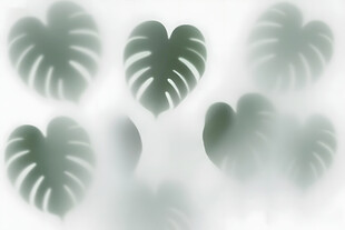 雾气磨砂膜效果绿植贴图