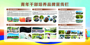 青年干部培养宣传栏展示