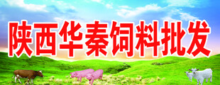 陕西华秦饲料批发宣传图