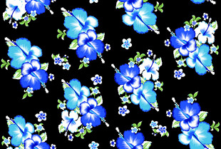 蓝白花卉黑色背景图案