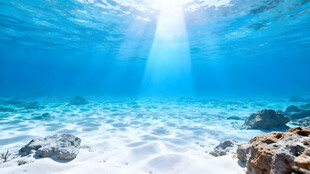 海底阳光照射沙石美景