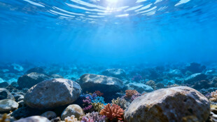 海底斑斓世界 多彩礁石