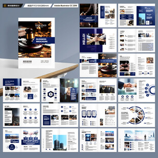 大气律师事务所画册