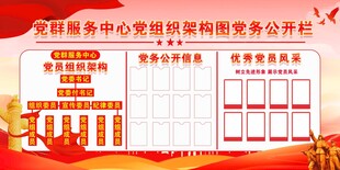 党群服务中心党组织架构图党务公